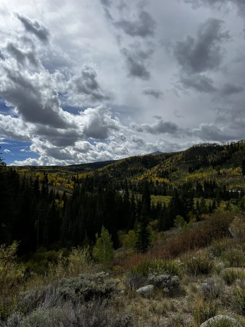 Rabbit Run and Zirkel Rain